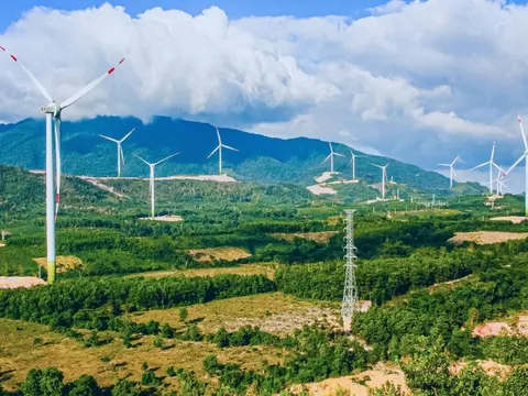 Mảng điện tái tạo đang được Gelex rao bán: Đạt mức doanh thu nghìn tỷ sau 5 năm nhưng lợi nhuận gộp mới là điều ấn tượng