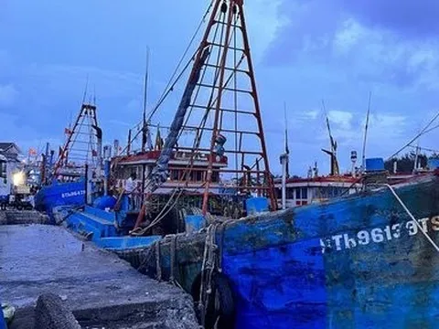 Bình Thuận: Hai lao động tử vong khi xuống hầm chứa cá, nghi ngạt khí