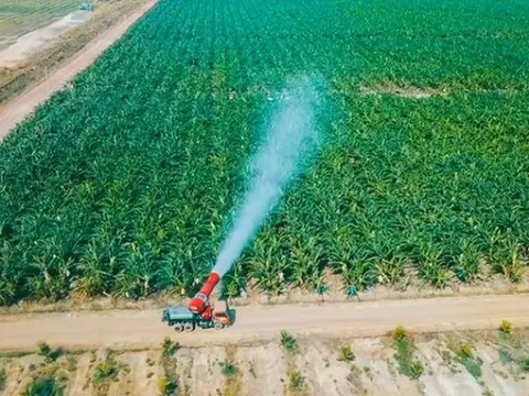 Sau ít năm đi trồng cây, chăn nuôi, Thaco Agri trở thành công ty nông nghiệp tư nhân có tài sản top đầu Việt Nam với gần 40.000 tỷ, năm 2022 vẫn lỗ gần 900 tỷ