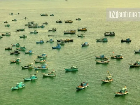 Kiên Giang: Cấm khai thác nghêu, sò, hến vùng ven biển trong 6 tháng