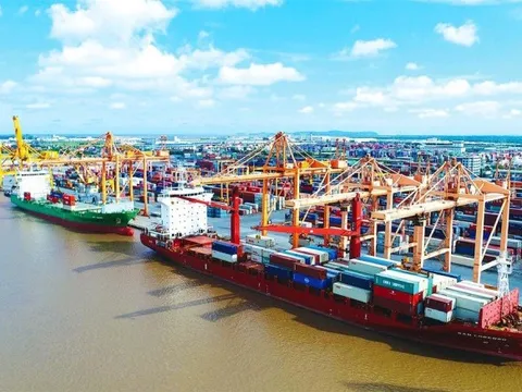 Tổng công ty Hàng hải Việt Nam ước lãi hơn 1.500 tỷ đồng trong nửa đầu năm, dự báo tình trạng dư cung tàu trong nửa cuối năm