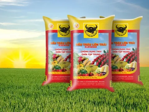 Phân Bón Bình Điền có lãi trở lại trong quý 2, lên kế hoạch lợi nhuận quý 3 gấp 9,5 lần cùng kỳ