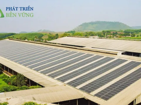 Những tấm pin mặt trời áp mái kể câu chuyện thú vị về chiến lược kinh tế tuần hoàn của Tập đoàn TH
