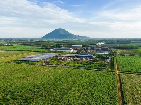 Chủ tịch Đặng Văn Thành: TTC cam kết đầu tư mạnh mẽ vào nông nghiệp