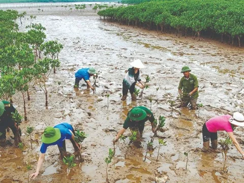Lập BCĐ tổng kết 10 năm thực hiện Nghị quyết 24-NQ/TW về ứng phó biến đổi khí hậu, tăng cường quản lý tài nguyên và bảo vệ môi trường