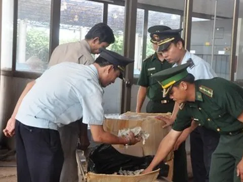 Xử lý nghiêm hành vi vận chuyển trái phép chim yến và các sản phẩm từ tổ yến