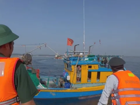 Quảng Ngãi: Nhiều chuyển biến tích cực sau 180 ngày cao điểm chống khai thác IUU