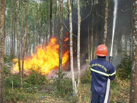 Khu vực miền Trung cảnh báo cháy rừng trên diện rộng
