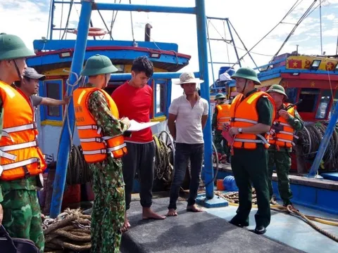 Gỡ thẻ vàng IUU - Nhiệm vụ cấp bách: Truy quét tàu giã cào (Bài 2)