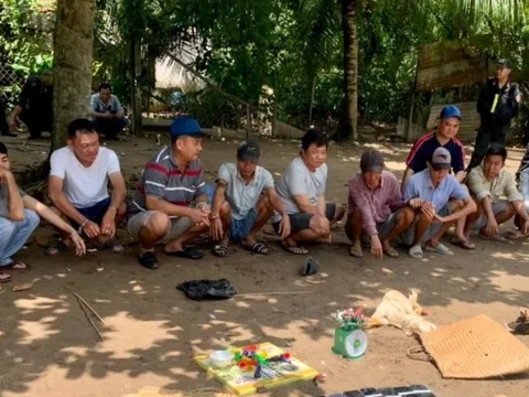 Cảnh sát phối hợp triệt xóa điểm đá gà, bắt hàng chục con bạc