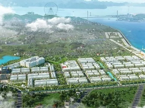 Sau đề nghị thu hồi, FLC nộp bổ sung 100 tỷ tiền đất dự án khu đô thị ở Quảng Ninh