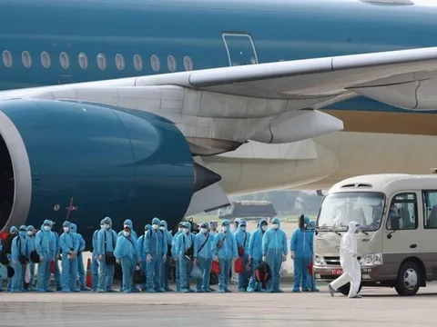 2 cán bộ thuộc Bộ GTVT "ngã ngựa" trong vụ chuyến bay giải cứu