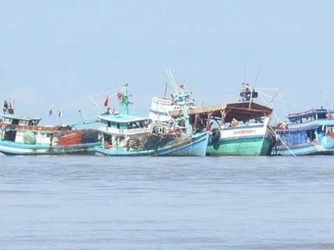 Cà Mau: Tập trung thực hiện các nhiệm vụ chống khai thác IUU