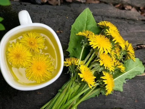 Loại cây mọc dại ven đường nhưng có tác dụng đào thải độc tố ở gan, thận: Thế giới dùng nhiều, Việt Nam cũng rất sẵn