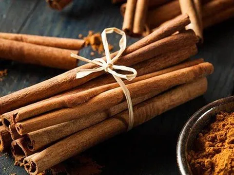 Loại cây cực quý được xếp vào 'tứ đại danh dược', Việt Nam có nhiều