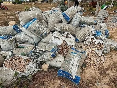 Bình Thuận: Phát hiện vụ trộm hàng trăm bao đá ở bãi đá 7 màu ở huyện Tuy Phong