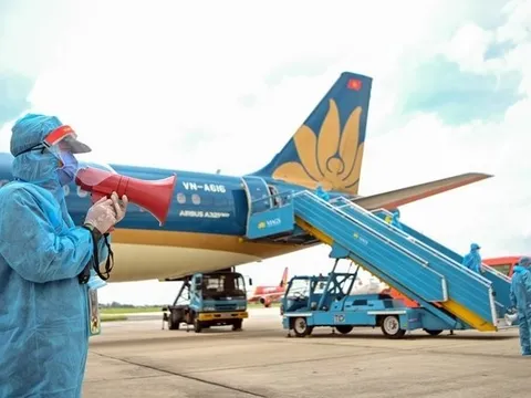 Vụ chuyến bay giải cứu: Chỉ là chuyên viên vẫn nhận hối lộ tiền tỷ