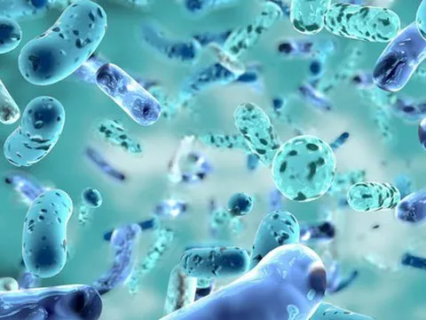 Thứ "gần gũi" đến không ngờ trị dứt được máu nhiễm mỡ