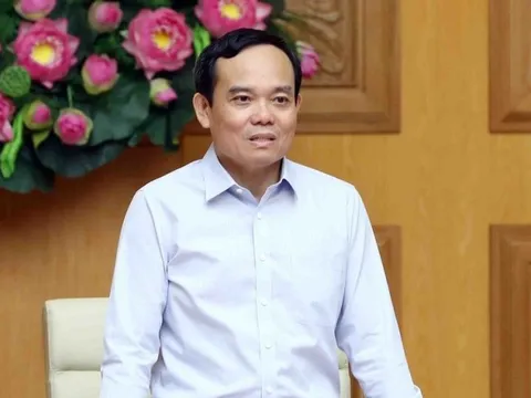 Phó Thủ tướng: Cuối năm 2023 hoàn thành việc ban hành Đề án vị trí việc làm