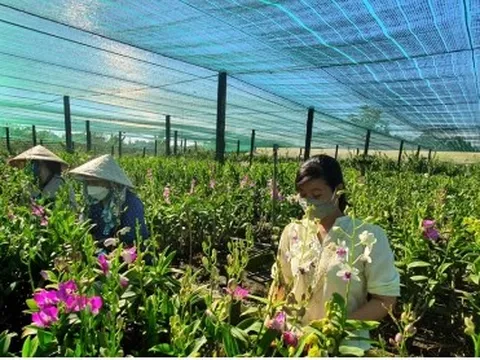 Rủi ro và kém hấp dẫn vẫn “kìm chân” doanh nghiệp đầu tư vào nông nghiệp