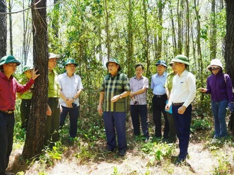 Quảng Trị ứng trực 24/24 trong suốt mùa khô để phòng chống cháy rừng