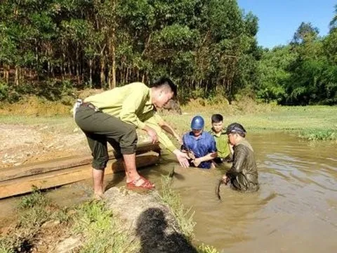 Chặt cây rừng về làm quan tài, 2 hộ dân bị phạt 10 triệu đồng