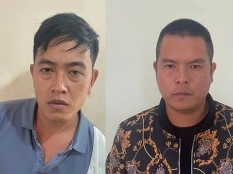 Lâm Đồng: Triệu tập 2 nghi can đốn hạ 143 cây thông