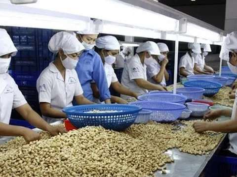 3 doanh nghiệp Việt nghi bị khách ở UAE lừa đảo