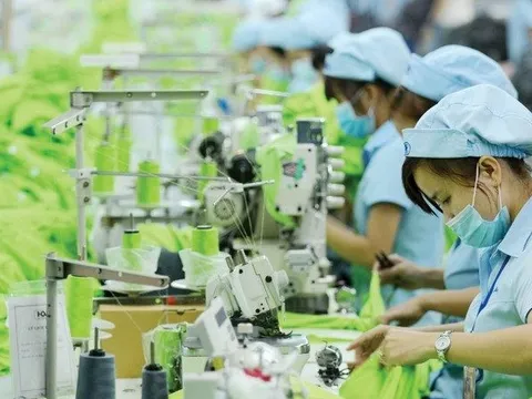 Công ty Dệt may lớn thường xuyên trả cổ tức trên 20% vừa báo lãi quý II gấp đôi cùng kỳ