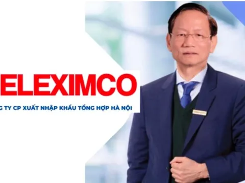 Geleximco của doanh nhân Vũ Văn Tiền lần đầu công khai tài chính: Hệ sinh thái từ BĐS, ngân hàng, ô tô… với tổng tài sản gần 30.000 tỷ nhưng lãi chỉ vỏn vẹn 66 tỷ đồng