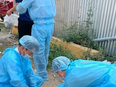 Đồng Nai: Chủ nhà tử vong sau khi bị chó cào xước da