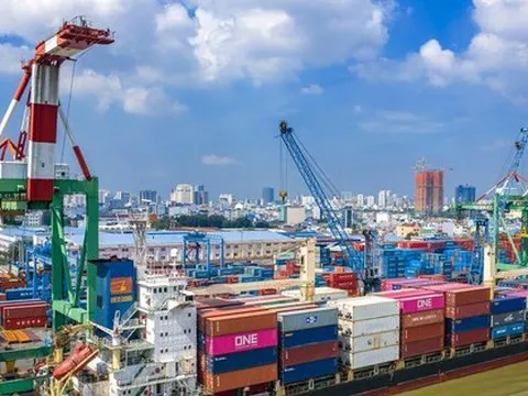 Chi phí vận chuyển container Bắc - Nam đắt gấp đôi đi Mỹ