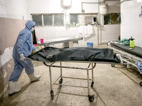 Triệu chứng của căn bệnh lạ tấn công khoảng 1.000 người Ai Cập