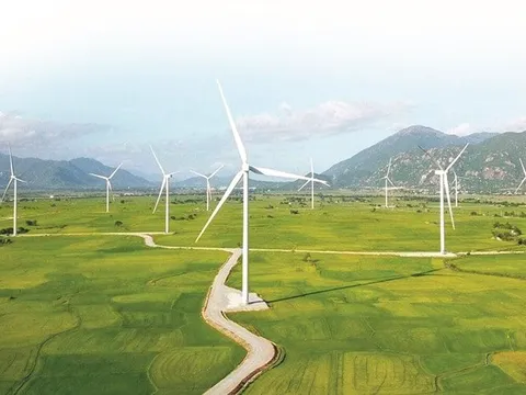 Thành lập Ban Thư ký thực hiện Tuyên bố chính trị thiết lập quan hệ đối tác chuyển đổi năng lượng công bằng