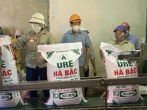 Khoản lỗ lớn nhất từ đầu mùa BCTC quý 2: Công ty phân đạm lỗ hơn 300 tỷ đồng, đồ thị lợi nhuận hình “cây thông”