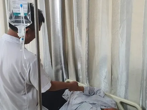 Ăn món cá chình, 8 người ngộ độc