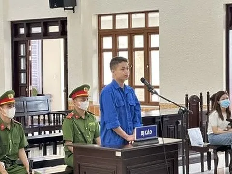 Cạm bẫy lừa bán heo khiến người mất tiền, kẻ lãnh án