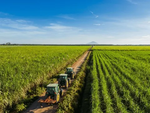 Thêm 100 triệu USD vốn ngoại được rót vào TTC AgriS