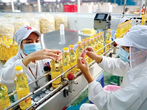 Sau quý lãi kỷ lục hơn 1.200 tỷ đồng, Vocarimex báo lỗ trong quý 2/2023