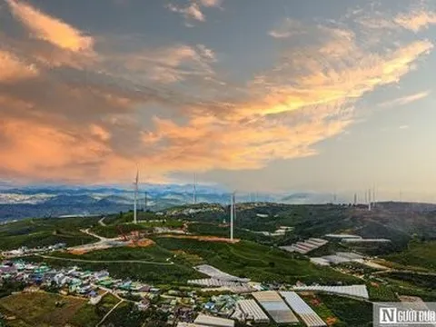 Xử lý nạn chèo kéo du khách thu phí bất hợp lý tại điểm săn mây ở Đà Lạt