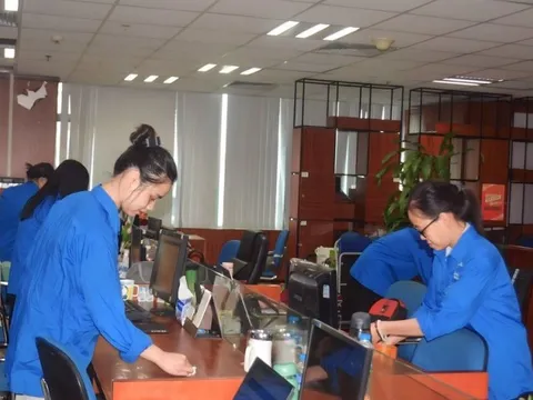 Tuổi trẻ Hội Luật gia Việt Nam hưởng ứng “Ngày chủ nhật xanh lần 3"