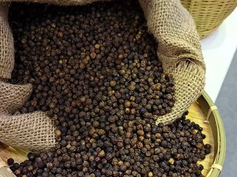Các doanh nghiệp có nguy cơ mất trắng 5 lô hàng xuất khẩu sang Dubai