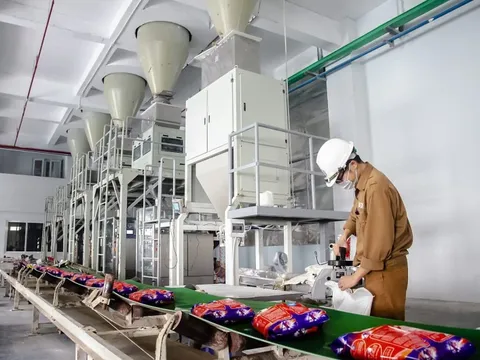 Hoá chất Đức Giang (DGC): Lên kế hoạch lãi quý 3/2023 giảm gần 50% cùng kỳ