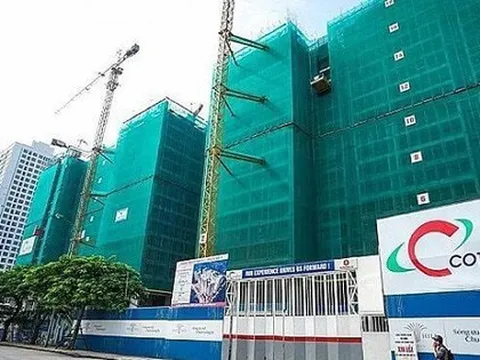 Lật mở thêm thông tin vụ nhà thầu xây dựng lớn nhất Việt Nam bị kiện