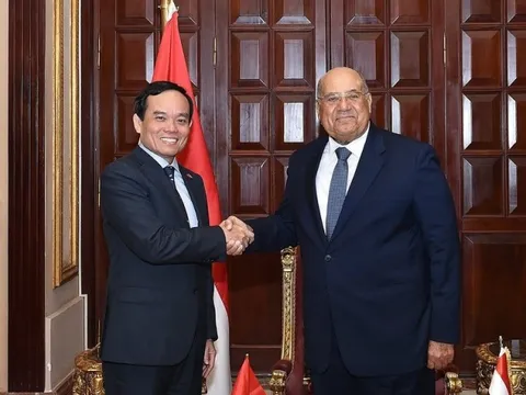 Ai Cập muốn thúc đẩy quan hệ truyền thống hữu nghị với Việt Nam
