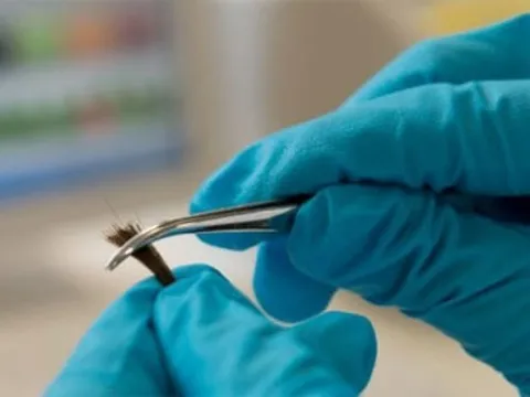 Người đàn ông quyết không nhận con, kết quả xét nghiệm ADN khiến bạn bè 'xấu hổ'