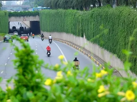 Mãn nhãn với bức tường của hầm chui được phủ kín cây xanh ở Hà Nội những ngày oi bức