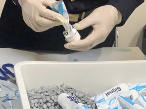 TP Hồ Chí Minh ban hành kế hoạch khẩn sau vụ tiếp viên hàng không vận chuyển ma tuý