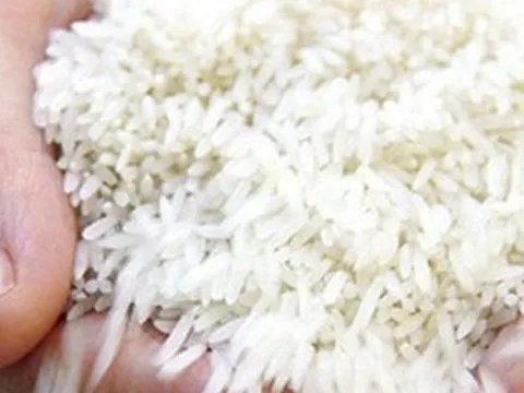 Giá gạo xuất khẩu từ Việt Nam, Thái Lan cao nhất trong hơn một thập kỷ