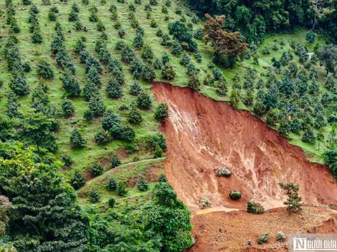 Lâm Đồng: Kiểm tra vườn sầu riêng tại điểm sạt lở đèo Bảo Lộc